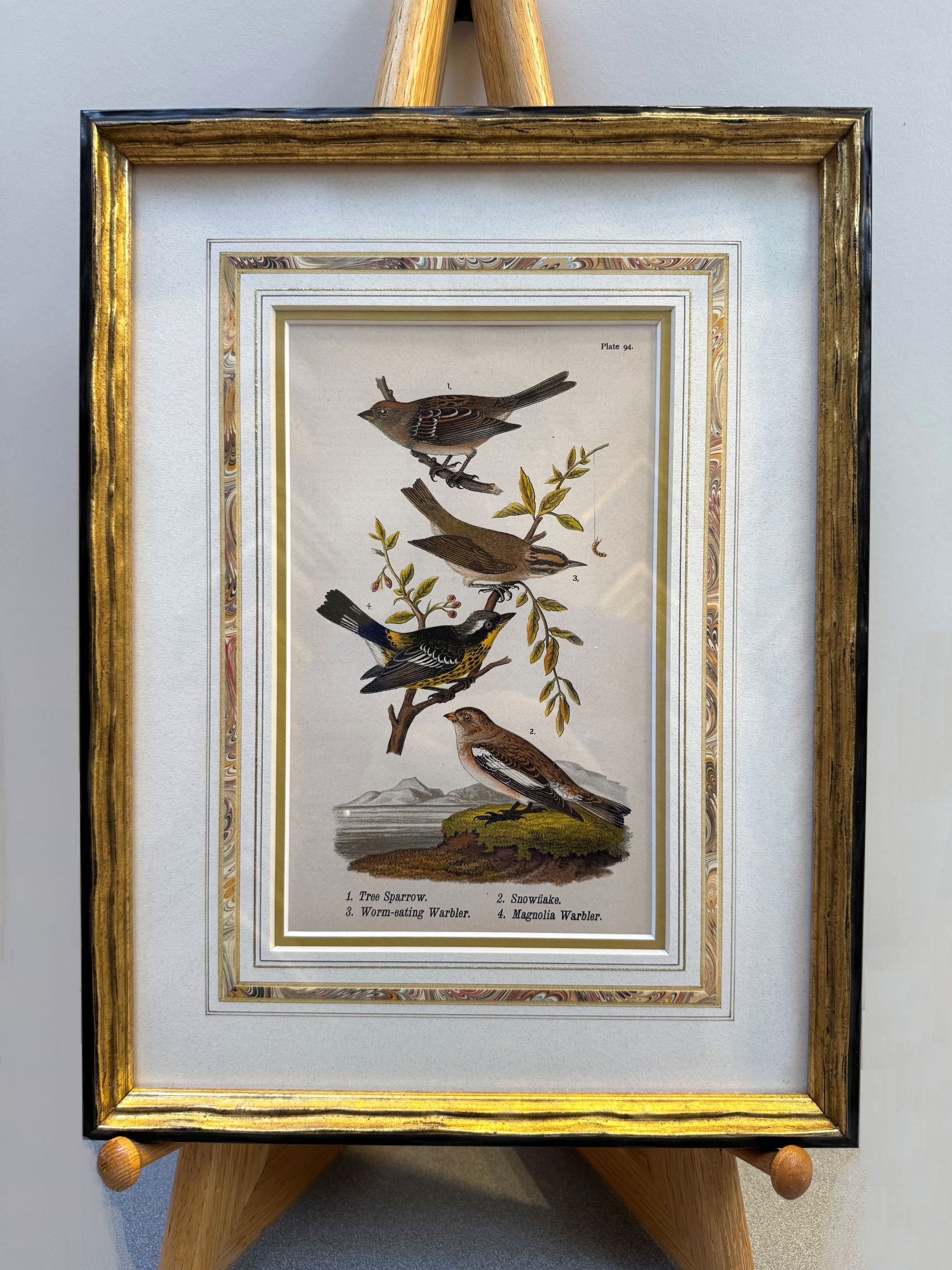 Antique Print
