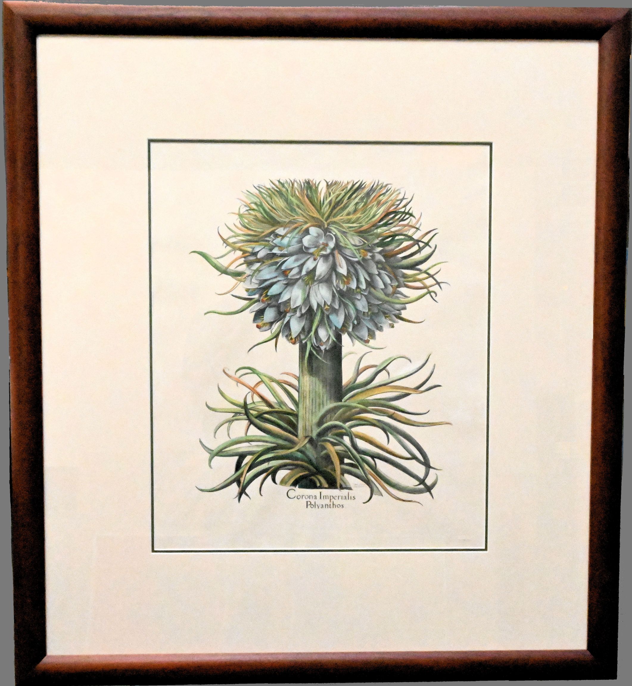 Botanical Print